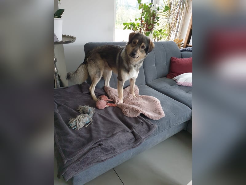 LEVI - als Baby ausgesetzt