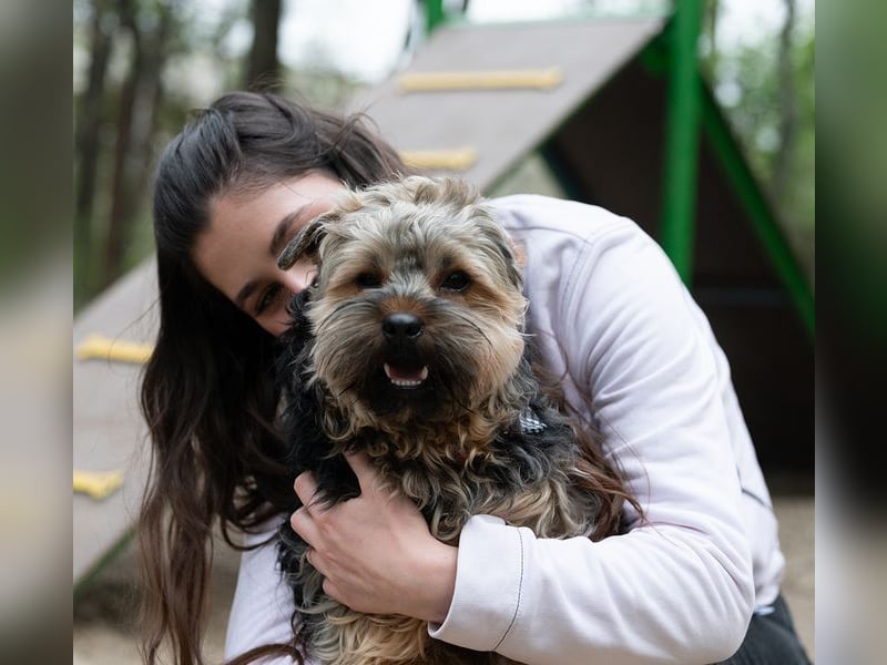 TEDDY-liebt es, zu kuscheln und gestreichelt zu werden