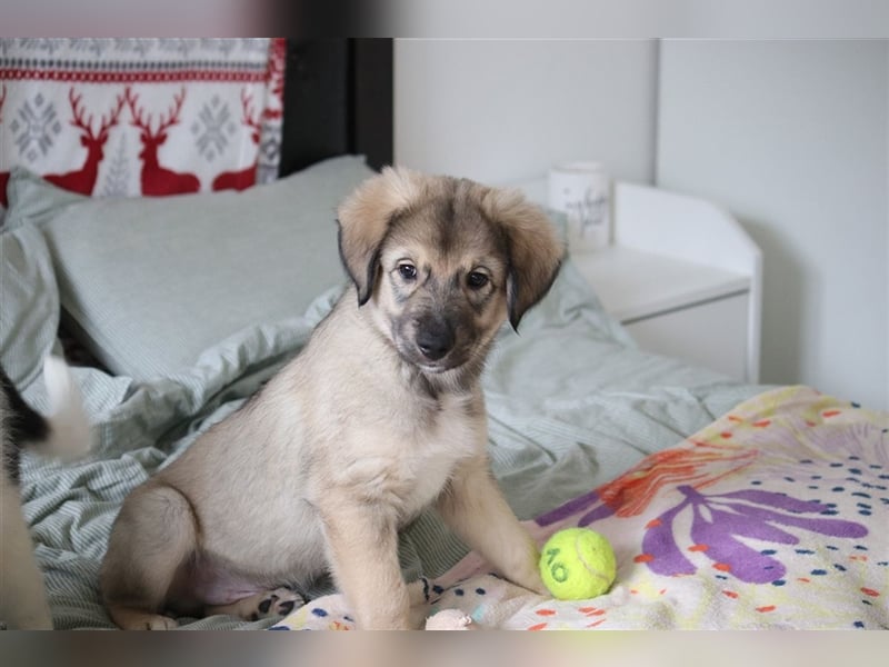 LEVI - als Baby ausgesetzt