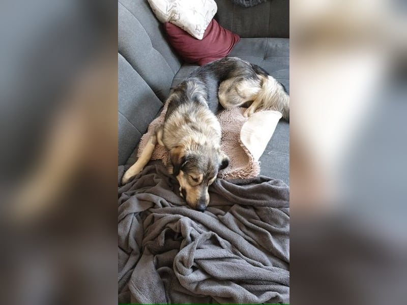 LEVI - als Baby ausgesetzt