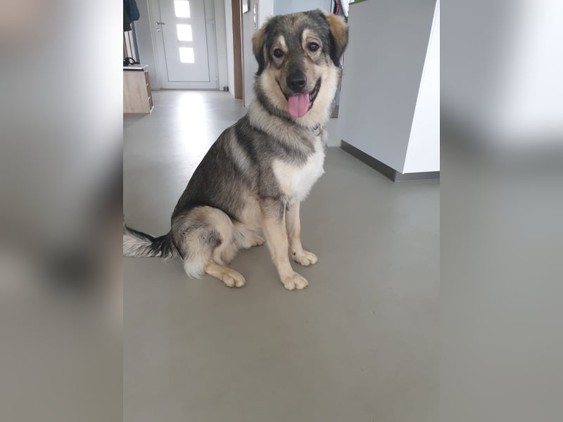 LEVI - als Baby ausgesetzt