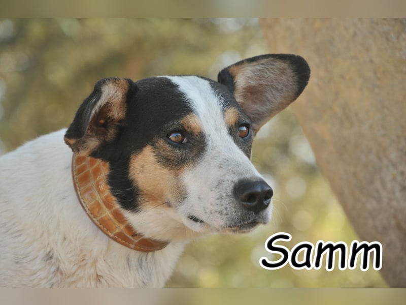 Öffnen Sie ihr Herz für Samm?