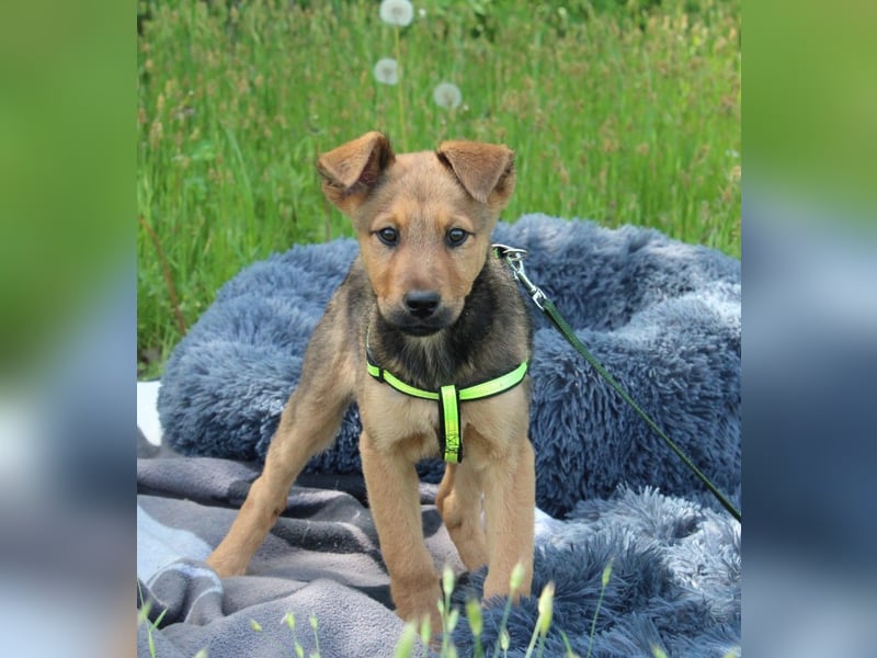 Luu unser kleiner Prinz..