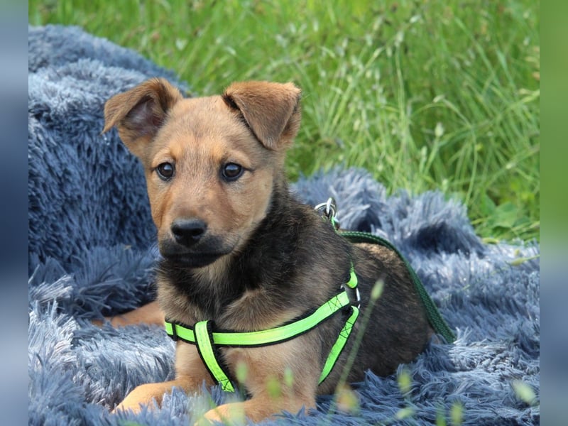 Luu unser kleiner Prinz..
