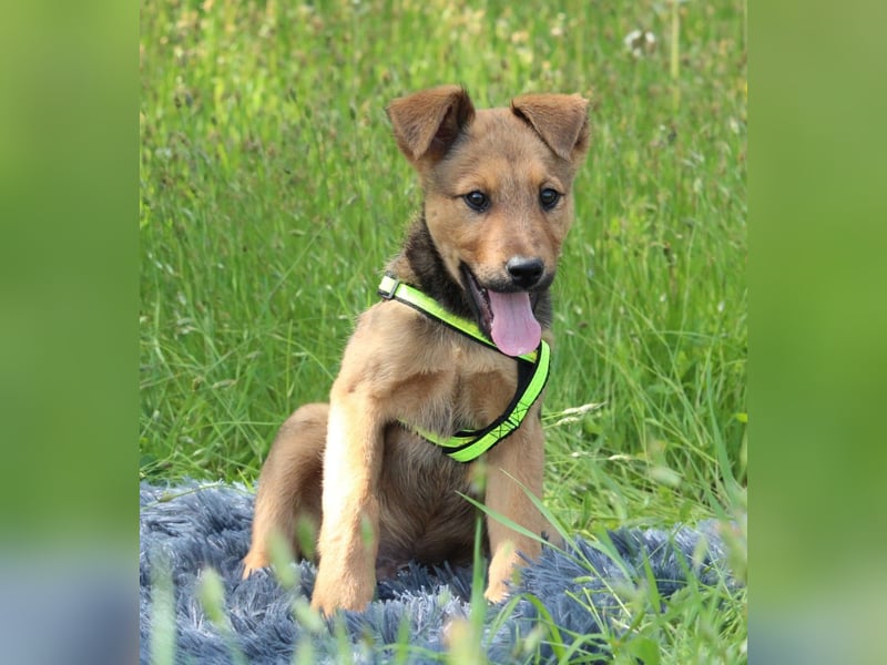 Luu unser kleiner Prinz..