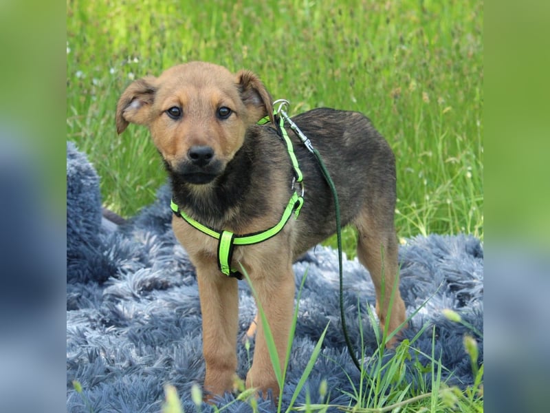 Luu unser kleiner Prinz..