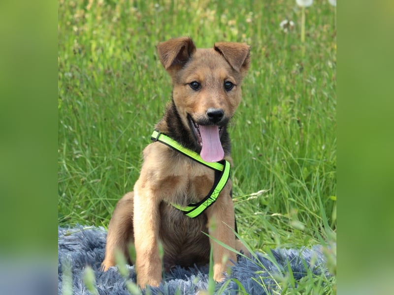 Luu unser kleiner Prinz..