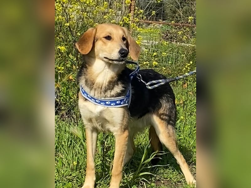  Brody – Kleiner Sonnenschein sucht große Liebe 