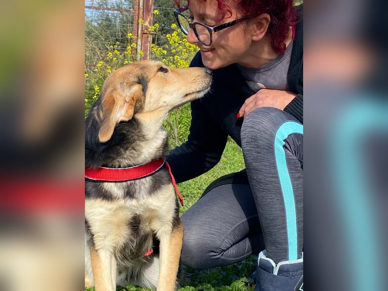  Brody – Kleiner Sonnenschein sucht große Liebe 
