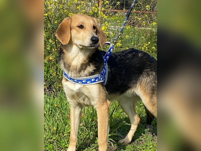  Brody – Kleiner Sonnenschein sucht große Liebe 