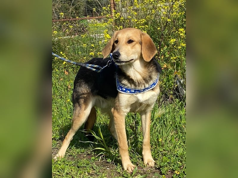  Brody – Kleiner Sonnenschein sucht große Liebe 