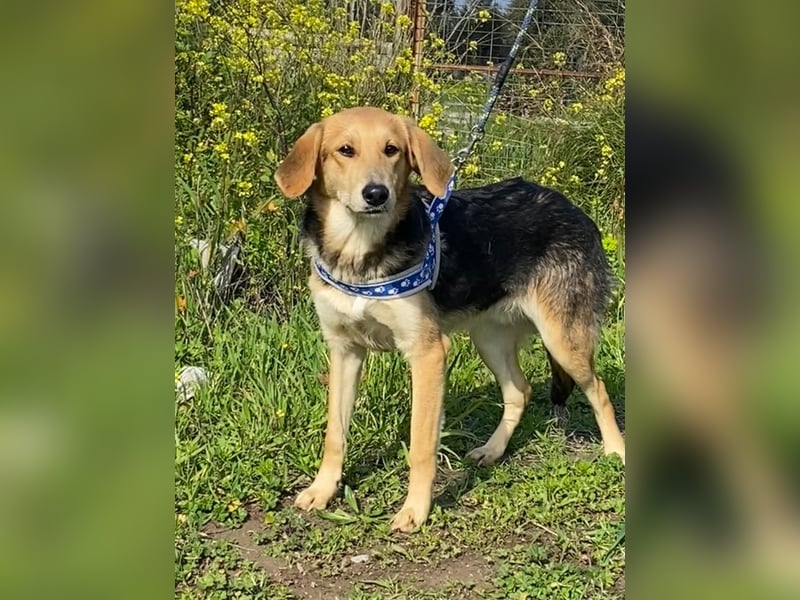  Brody – Kleiner Sonnenschein sucht große Liebe 