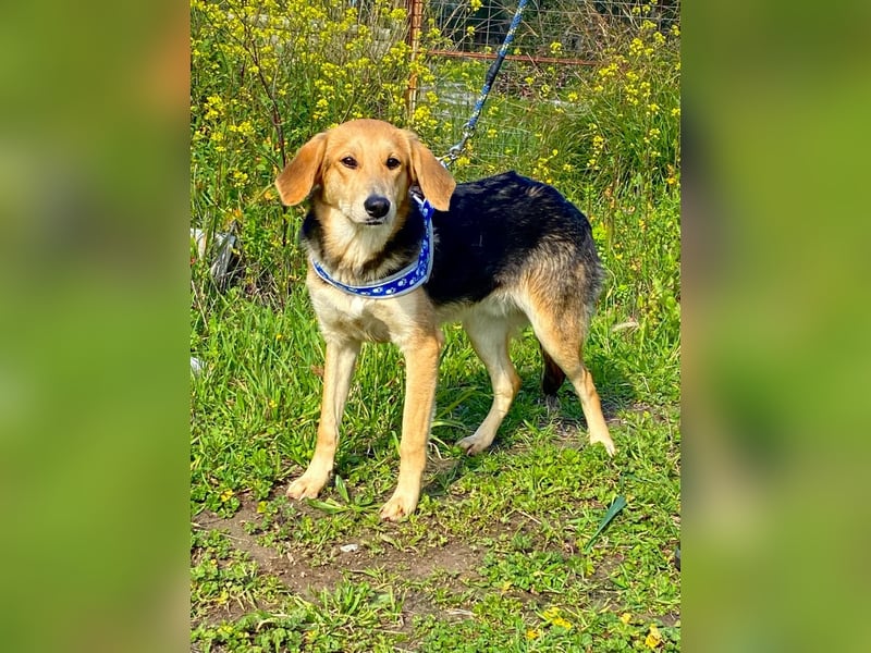  Brody – Kleiner Sonnenschein sucht große Liebe 