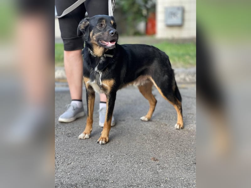 Richie – braucht nach schlimmen Verlust eine Familie die ihn auffängt (Ukraine)