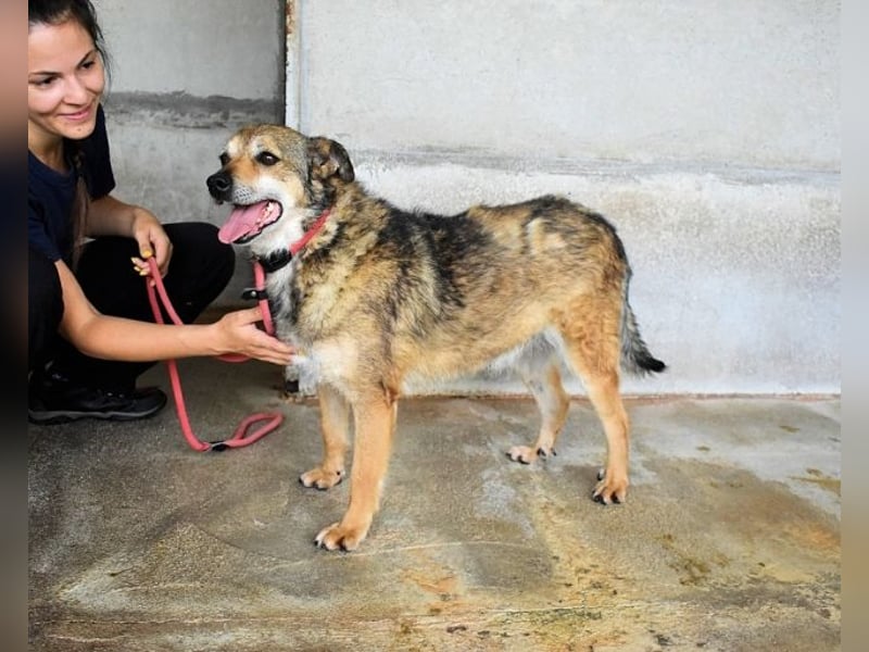 Maikin - Schnuffel schnuffel Körbchensuche