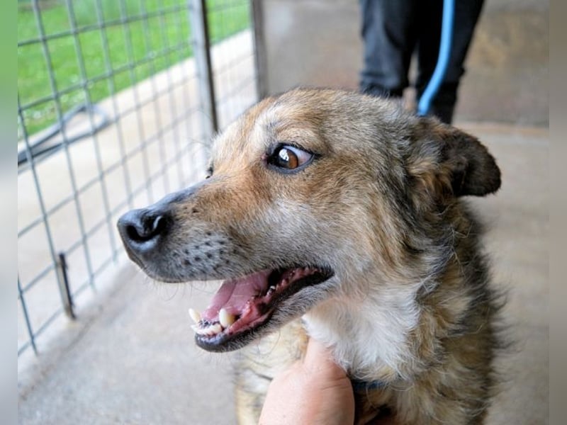 Maikin - Schnuffel schnuffel Körbchensuche