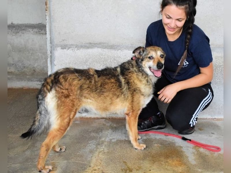 Maikin - Schnuffel schnuffel Körbchensuche