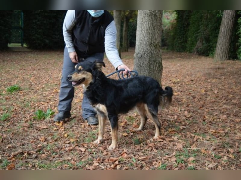 Daxter - wann darf sein Leben beginnen?