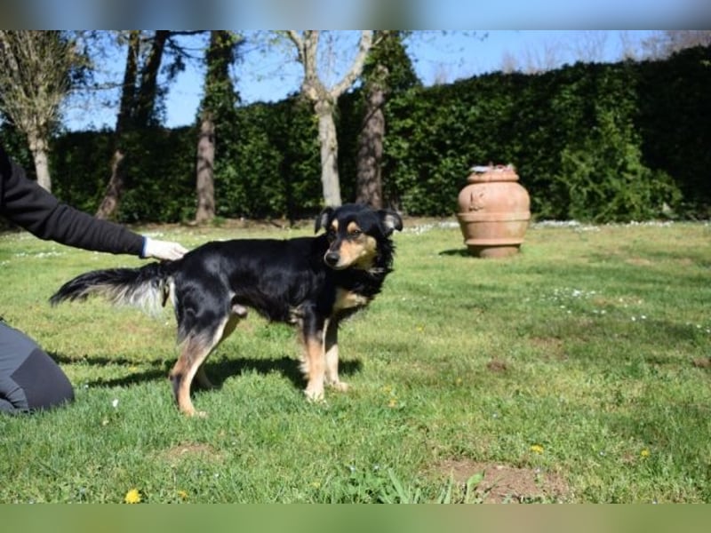 Daxter - wann darf sein Leben beginnen?