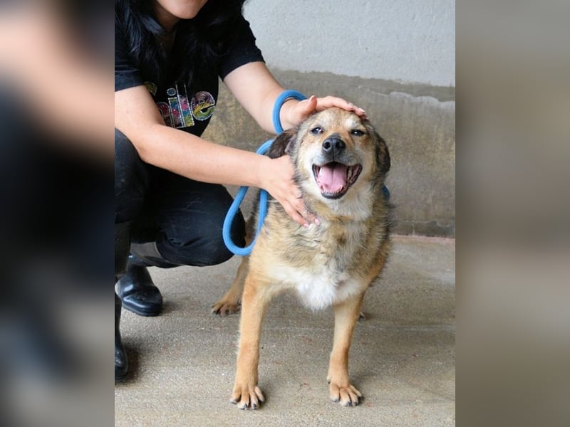Maikin - Schnuffel schnuffel Körbchensuche