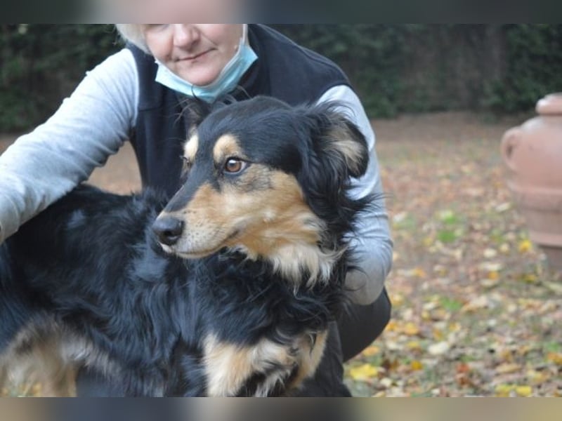 Daxter - wann darf sein Leben beginnen?