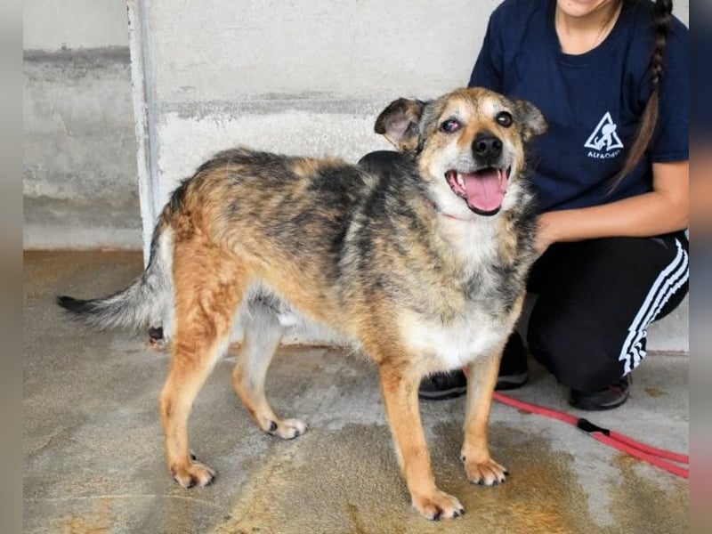 Maikin - Schnuffel schnuffel Körbchensuche