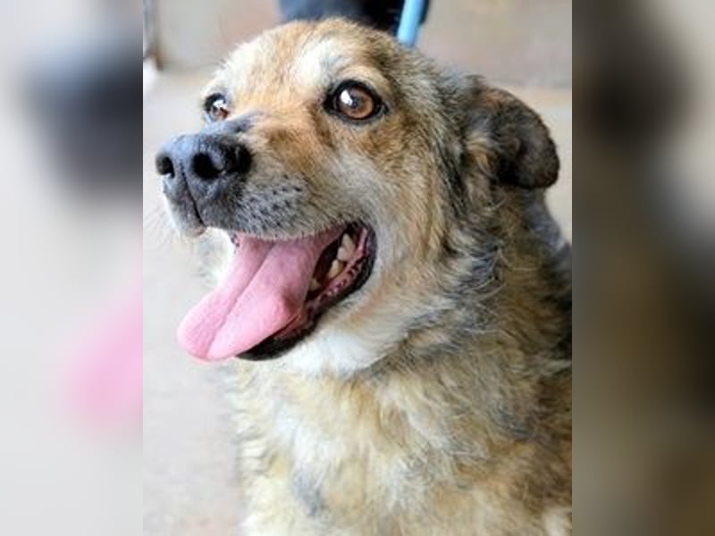 Maikin - Schnuffel schnuffel Körbchensuche