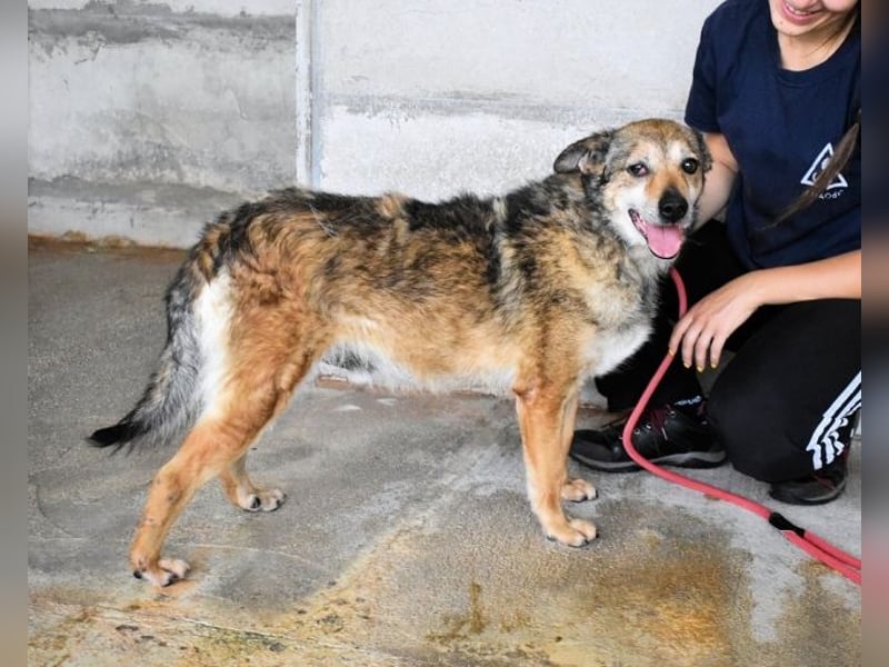 Maikin - Schnuffel schnuffel Körbchensuche