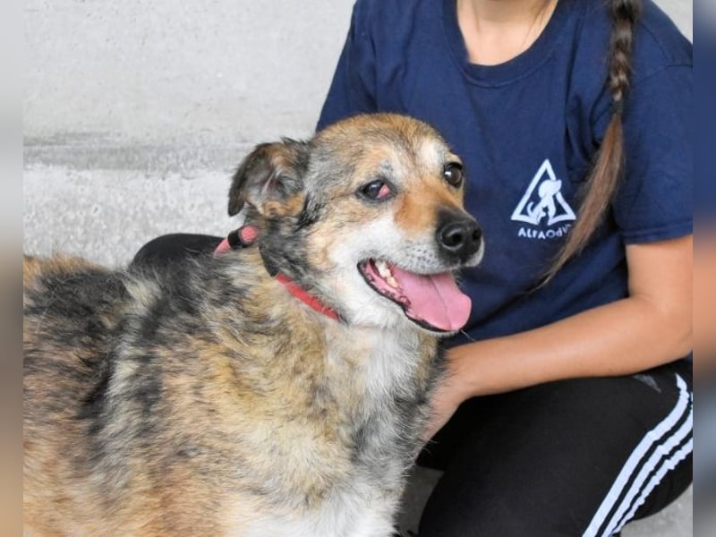Maikin - Schnuffel schnuffel Körbchensuche