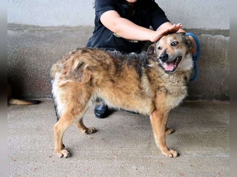 Maikin - Schnuffel schnuffel Körbchensuche