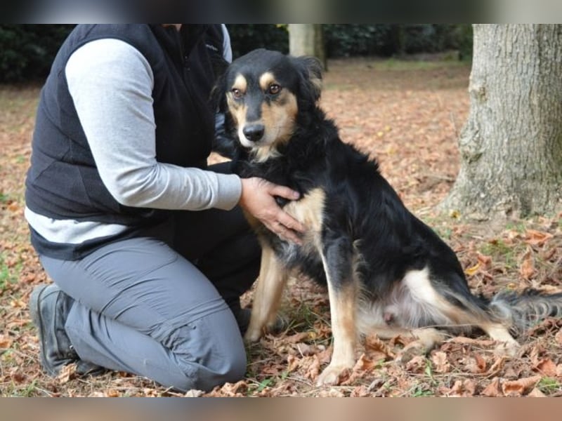 Daxter - wann darf sein Leben beginnen?