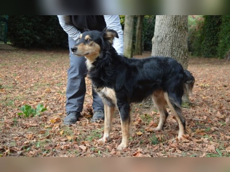 Daxter - wann darf sein Leben beginnen?