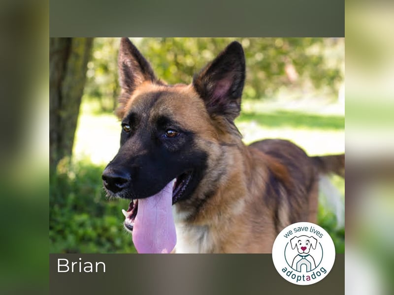 Brian: Wartet schon viel zu lang