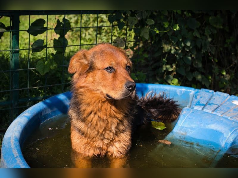 Milo – Harte Schale, weicher Kern