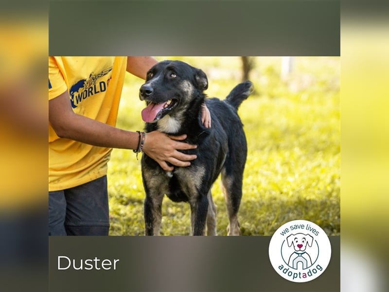 Duster: Vorsichtiger Gentleman
