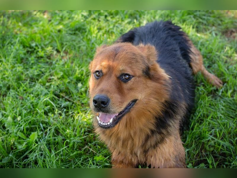 Milo – Harte Schale, weicher Kern