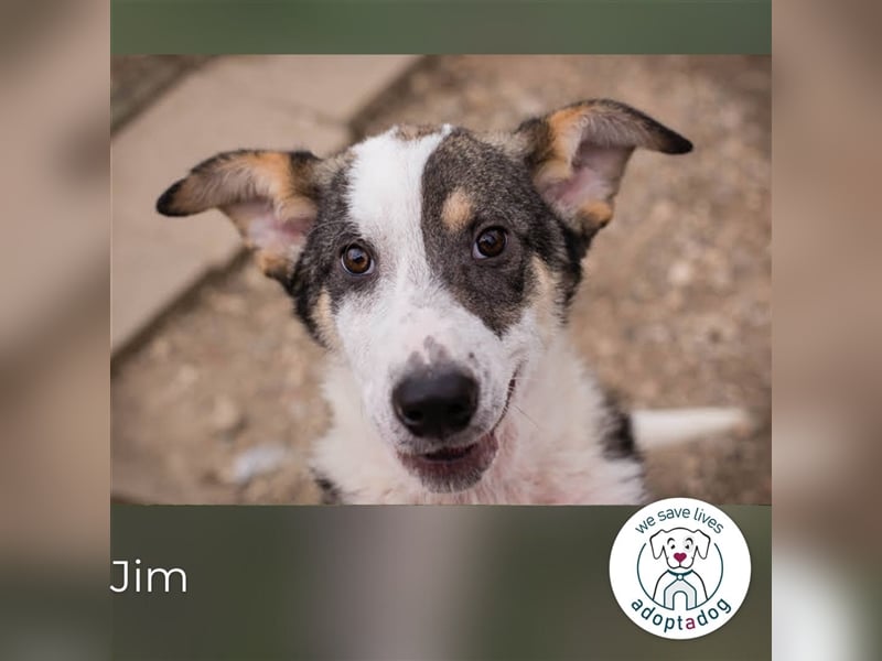 Jim: Sucht das Abenteuer