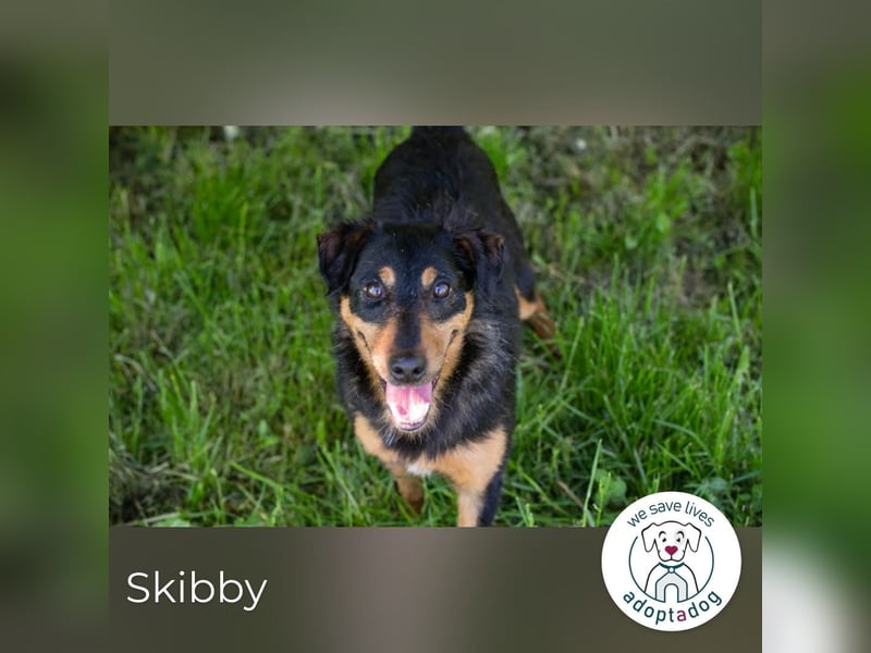 Skibby: Fröhlich trotz Enttäuschung