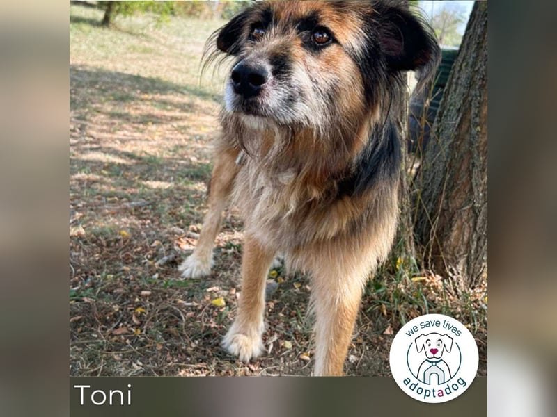 Toni: Freundlicher Entdecker