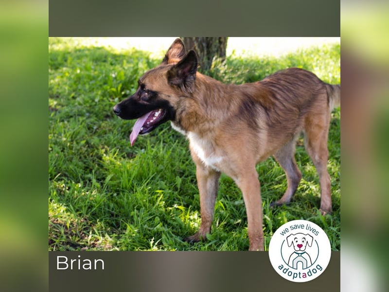 Brian: Wartet schon viel zu lang