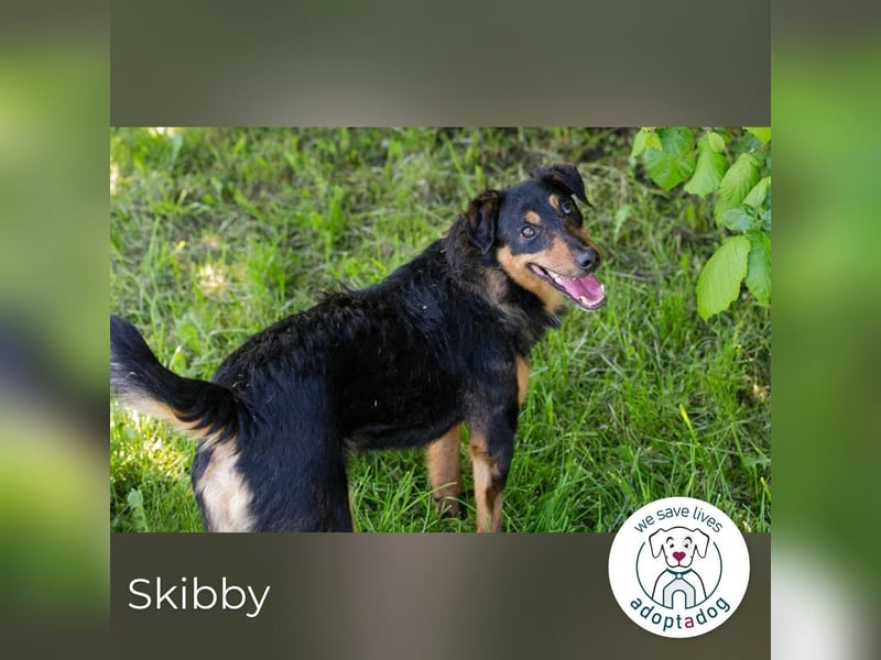 Skibby: Fröhlich trotz Enttäuschung