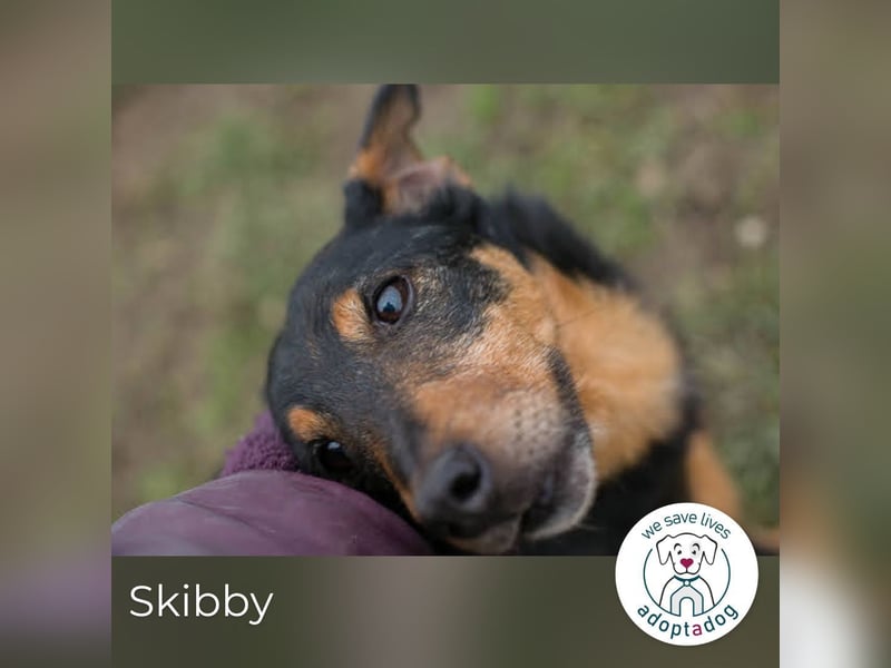 Skibby: Fröhlich trotz Enttäuschung