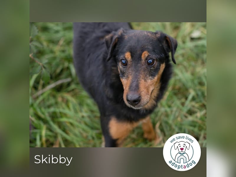 Skibby: Fröhlich trotz Enttäuschung