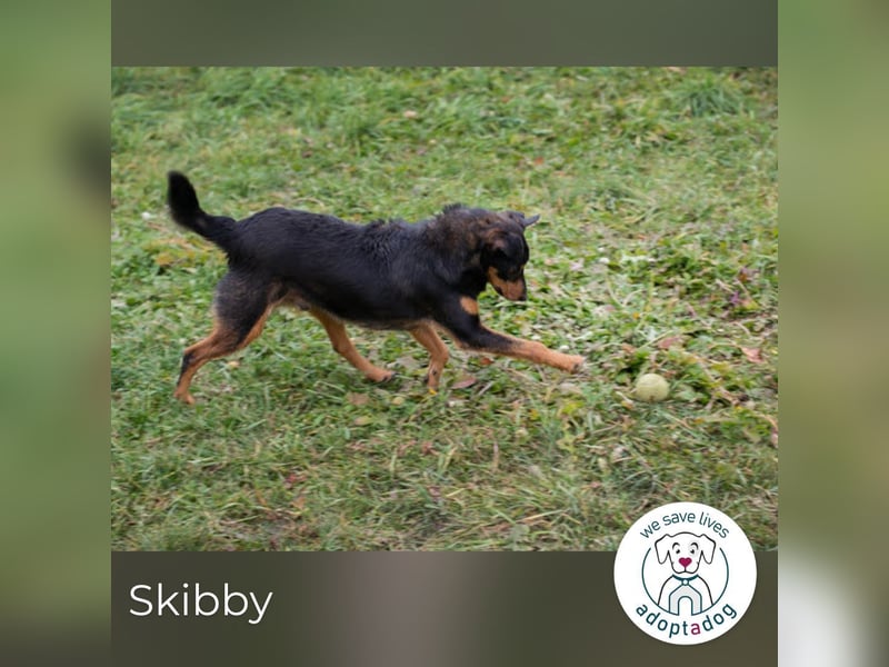 Skibby: Fröhlich trotz Enttäuschung