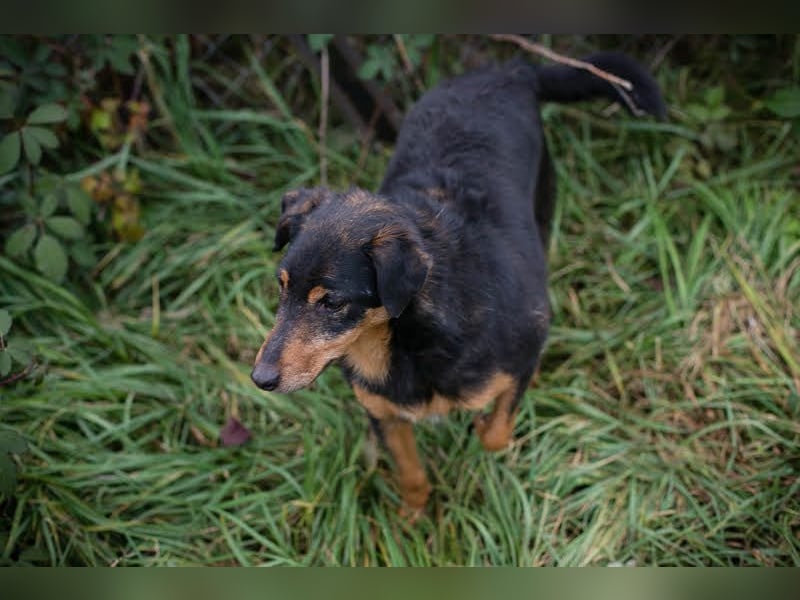 Skibby: Fröhlich trotz Enttäuschung