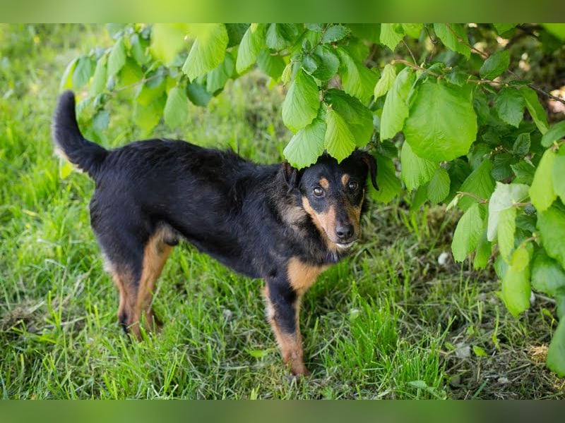 Skibby: Fröhlich trotz Enttäuschung