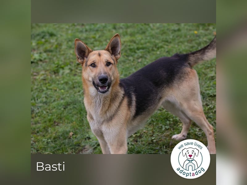 Basti: Fröhlicher Abenteurer