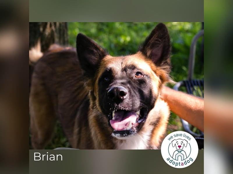 Brian: Wartet schon viel zu lang