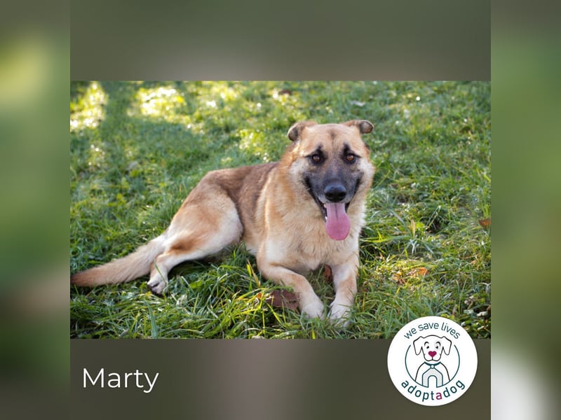 Marty sucht seine Menschen
