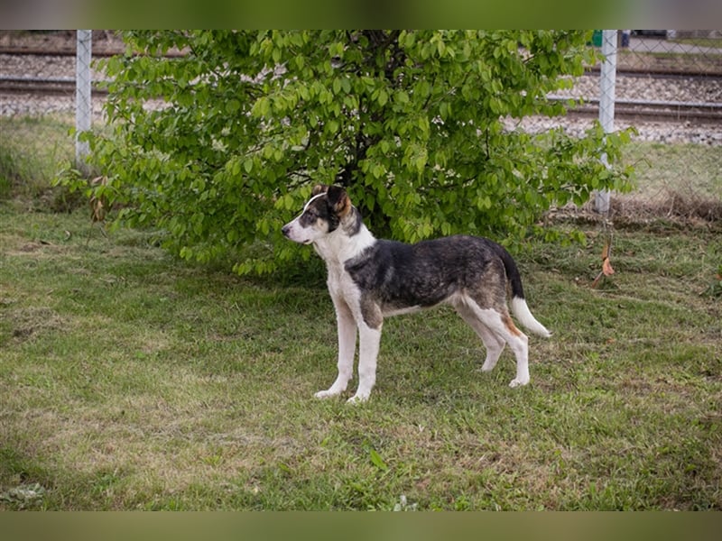 Jim: Sucht das Abenteuer